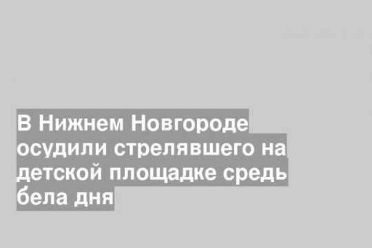 В Нижнем Новгороде осудили стрелявшего на детской площадке средь бела дня