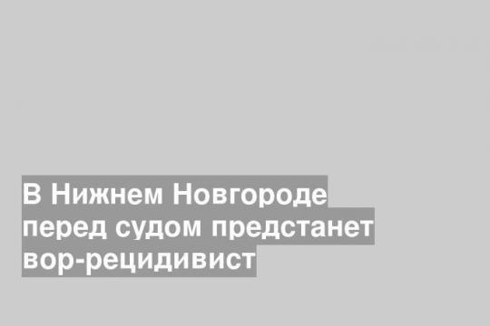 В Нижнем Новгороде перед судом предстанет вор-рецидивист