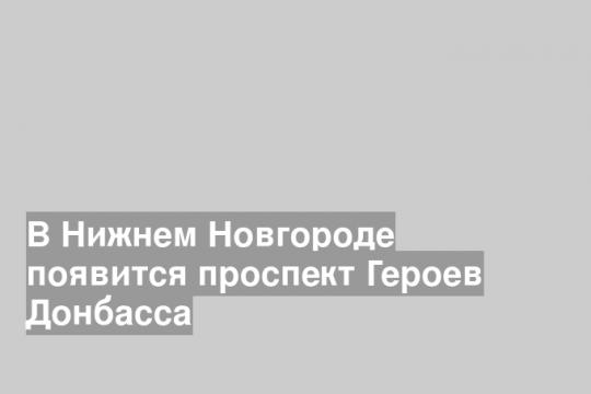 В Нижнем Новгороде появится проспект Героев Донбасса