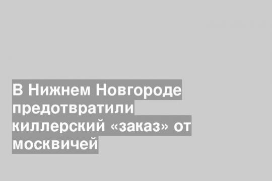 В Нижнем Новгороде предотвратили киллерский «заказ» от москвичей