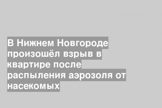 В Нижнем Новгороде произошёл взрыв в квартире после распыления аэрозоля от насекомых