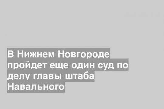 В Нижнем Новгороде пройдет еще один суд по делу главы штаба Навального