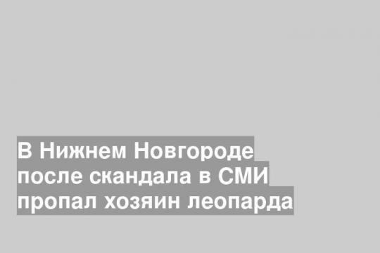 В Нижнем Новгороде после скандала в СМИ пропал хозяин леопарда