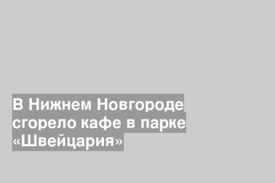 Скриншот видео официальной группы ГУ МЧС по Нижегородской области в соцсети «ВКонтакте»
