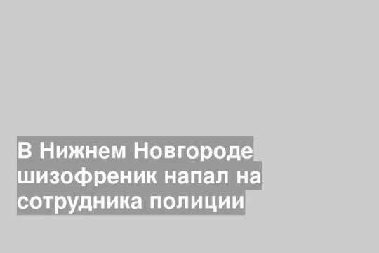 В Нижнем Новгороде шизофреник напал на сотрудника полиции