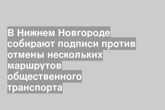 В Нижнем Новгороде собирают подписи против отмены нескольких маршрутов общественного транспорта