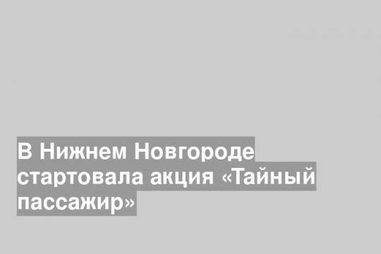 В Нижнем Новгороде стартовала акция «Тайный пассажир»