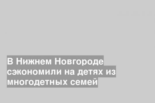 В Нижнем Новгороде сэкономили на детях из многодетных семей