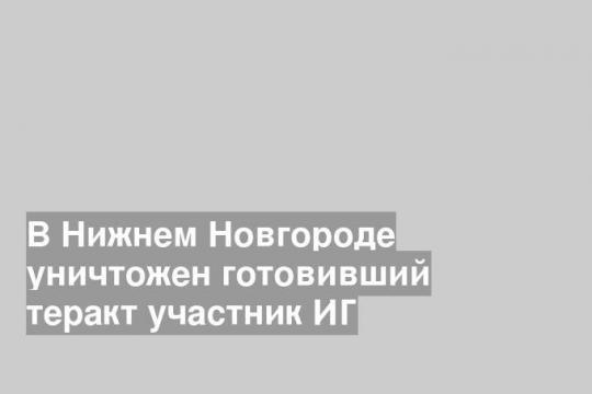 В Нижнем Новгороде уничтожен готовивший теракт участник ИГ