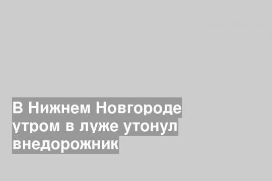 В Нижнем Новгороде утром в луже утонул внедорожник
