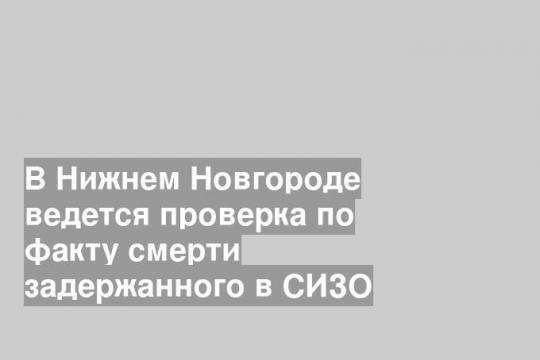 В Нижнем Новгороде ведется проверка по факту смерти задержанного в СИЗО