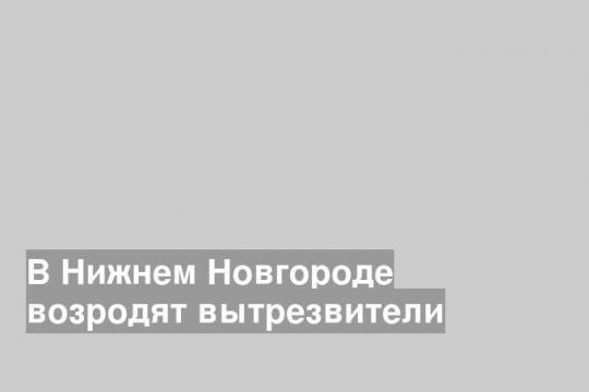 В Нижнем Новгороде возродят вытрезвители