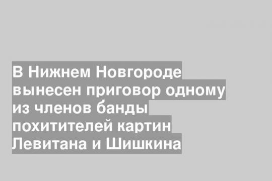 В Нижнем Новгороде вынесен приговор одному из членов банды похитителей картин Левитана и Шишкина
