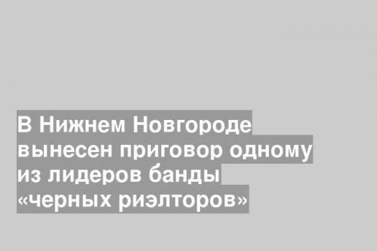 В Нижнем Новгороде вынесен приговор одному из лидеров банды «черных риэлторов»