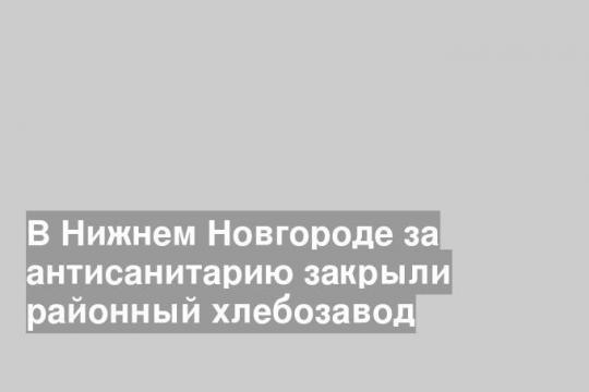 В Нижнем Новгороде за антисанитарию закрыли районный хлебозавод