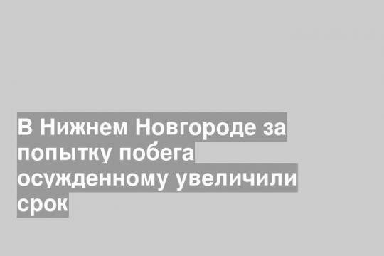 В Нижнем Новгороде за попытку побега осужденному увеличили срок