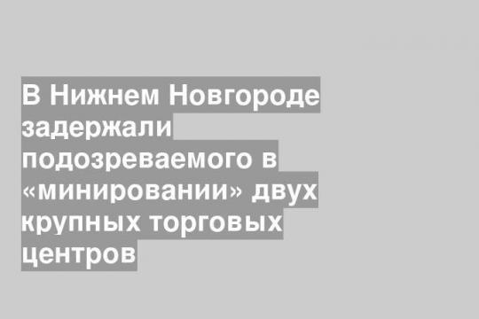 В Нижнем Новгороде задержали подозреваемого в «минировании» двух крупных торговых центров