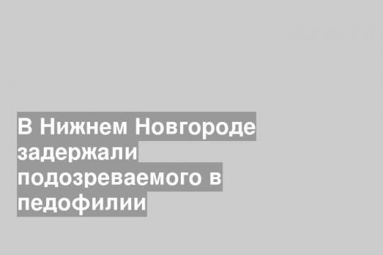 В Нижнем Новгороде задержали подозреваемого в педофилии