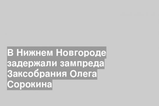 В Нижнем Новгороде задержали зампреда Заксобрания Олега Сорокина