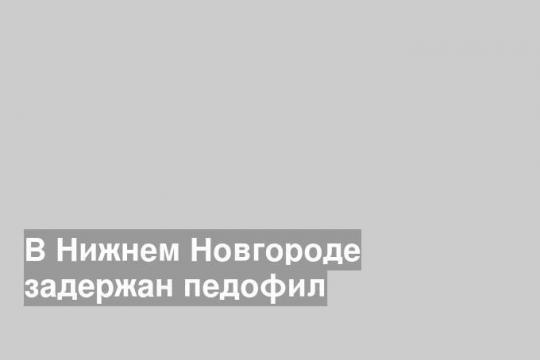 В Нижнем Новгороде задержан педофил