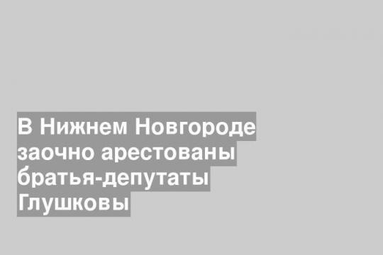 В Нижнем Новгороде заочно арестованы братья-депутаты Глушковы