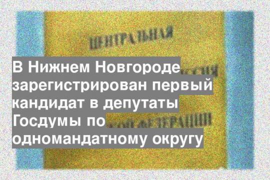 В Нижнем Новгороде зарегистрирован первый кандидат в депутаты Госдумы по одномандатному округу