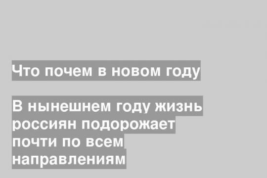В нынешнем году жизнь россиян подорожает почти по всем направлениям