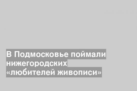 В Подмосковье поймали нижегородских «любителей живописи»