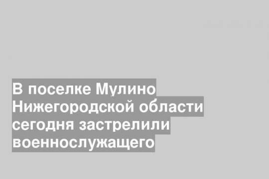 В поселке Мулино Нижегородской области сегодня застрелили военнослужащего