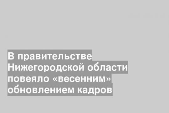 В правительстве Нижегородской области повеяло «весенним» обновлением кадров