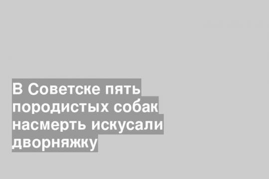 Фото: Алексей Гатилов