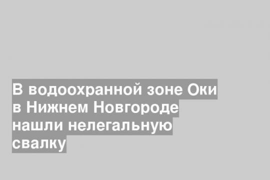 В водоохранной зоне Оки в Нижнем Новгороде нашли нелегальную свалку
