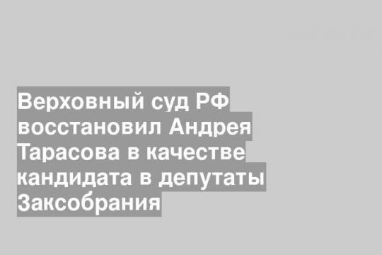 Верховный суд РФ восстановил Андрея Тарасова в качестве кандидата в депутаты Заксобрания