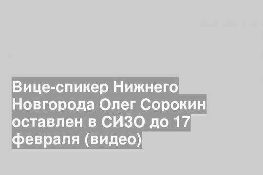 Вице-спикер Нижнего Новгорода Олег Сорокин оставлен в СИЗО до 17 февраля (видео)
