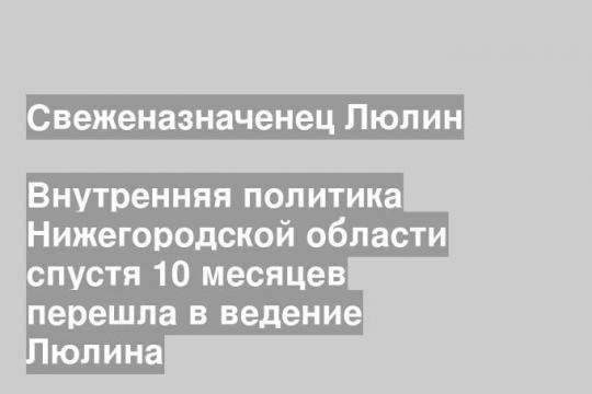 Внутренняя политика Нижегородской области спустя 10 месяцев перешла в ведение Люлина