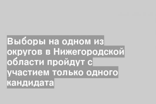 Выборы на одном из округов в Нижегородской области пройдут с участием только одного кандидата