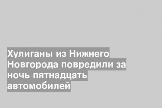 Хулиганы из Нижнего Новгорода повредили за ночь пятнадцать автомобилей