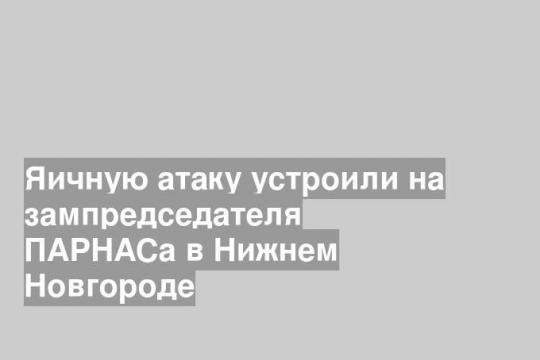 Яичную атаку устроили на зампредседателя ПАРНАСа в Нижнем Новгороде