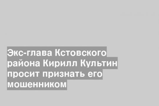 Экс-глава Кстовского района Кирилл Культин просит признать его мошенником