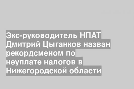 Экс-руководитель НПАТ Дмитрий Цыганков назван рекордсменом по неуплате налогов в Нижегородской области