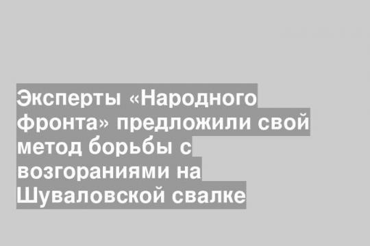 Эксперты «Народного фронта» предложили свой метод борьбы с возгораниями на Шуваловской свалке