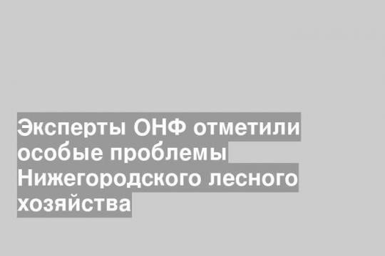 Эксперты ОНФ отметили особые проблемы Нижегородского лесного хозяйства