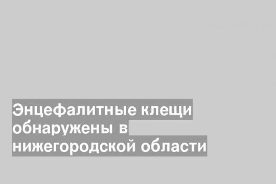 Энцефалитные клещи обнаружены в нижегородской области