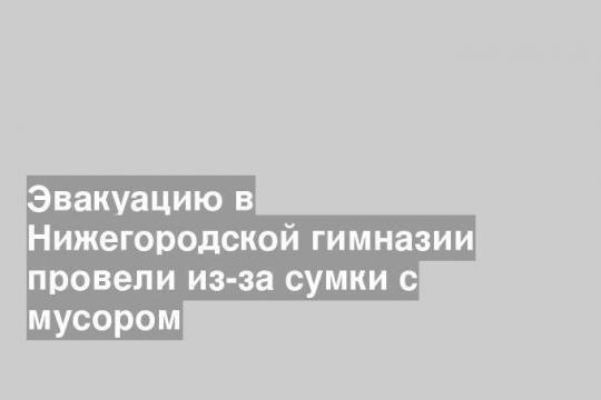 Эвакуацию в Нижегородской гимназии провели из-за сумки с мусором