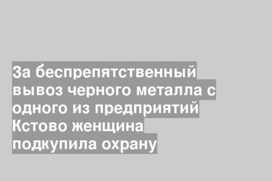 За беспрепятственный вывоз черного металла с одного из предприятий Кстово женщина подкупила охрану