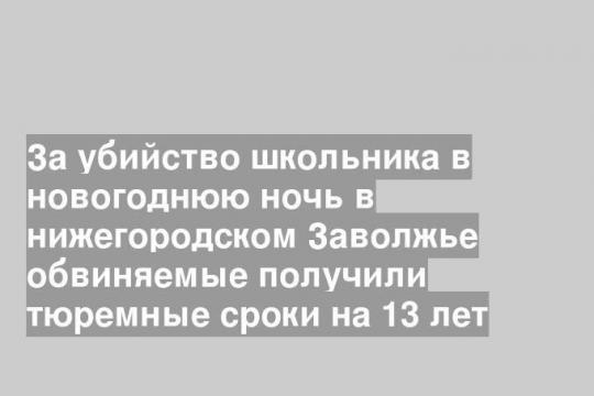 За убийство школьника в новогоднюю ночь в нижегородском Заволжье обвиняемые получили тюремные сроки на 13 лет