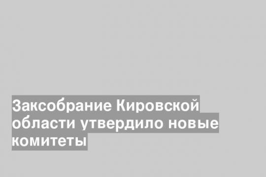 Заксобрание Кировской области утвердило новые комитеты