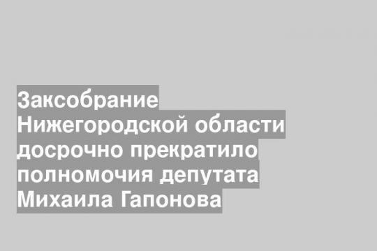Заксобрание Нижегородской области досрочно прекратило полномочия депутата Михаила Гапонова