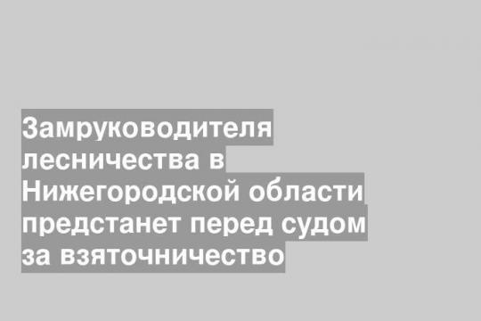 Замруководителя лесничества в Нижегородской области предстанет перед судом за взяточничество