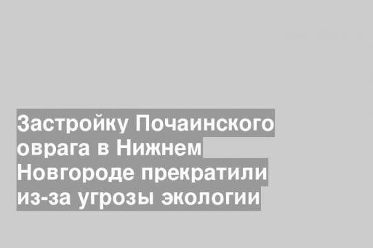 Застройку Почаинского оврага в Нижнем Новгороде прекратили из-за угрозы экологии